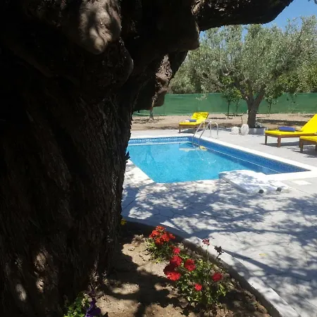 Olive Sense With Jacuzzi And Sauna Βίλα *